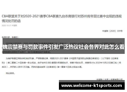 魏震禁赛与罚款事件引发广泛热议社会各界对此怎么看