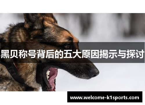 黑贝称号背后的五大原因揭示与探讨